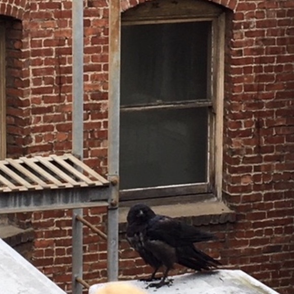 Meet your Posher, H - Picture 7 of 16